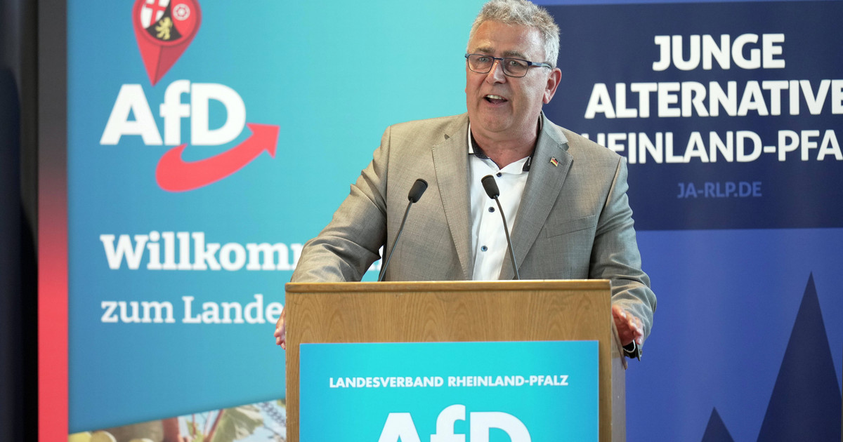 The German far right is creating a new faction.  Media: Among his partners is a party from Poland
