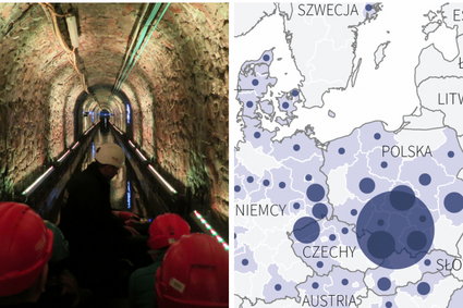 Tak wygląda zatrudnienie w górnictwie w UE. Polska na pierwszym planie [INFOGRAFIKA]