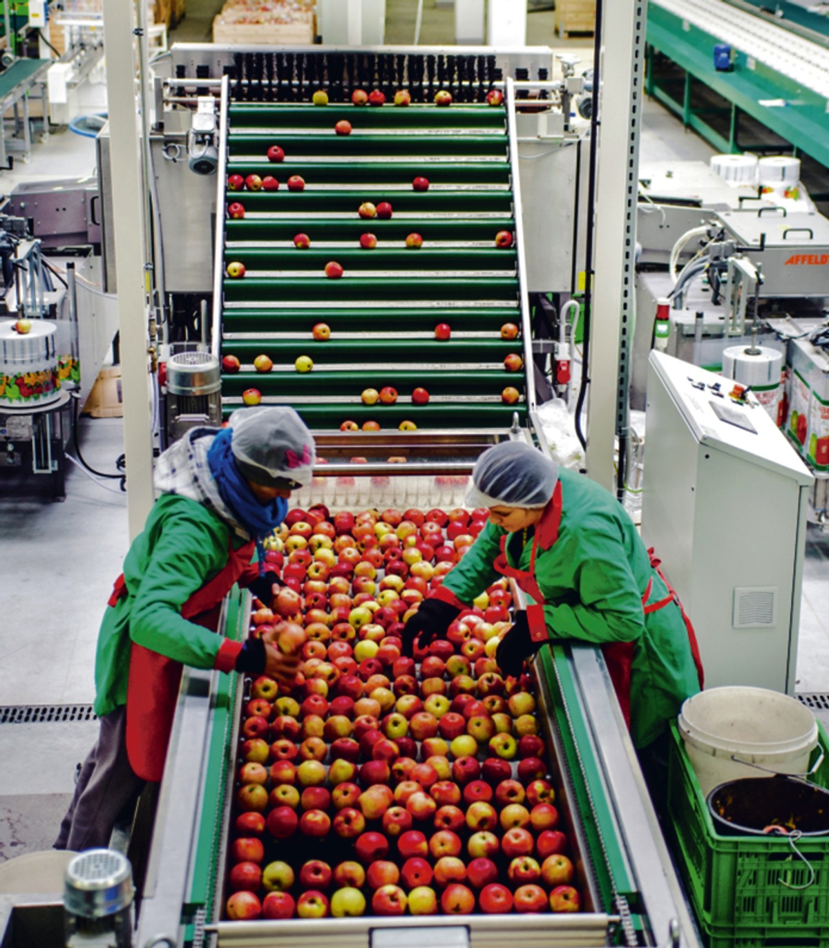 W ciągu pięciu lat grupa aż siedmiokrotnie zwiększyła wydajność produkcyjną