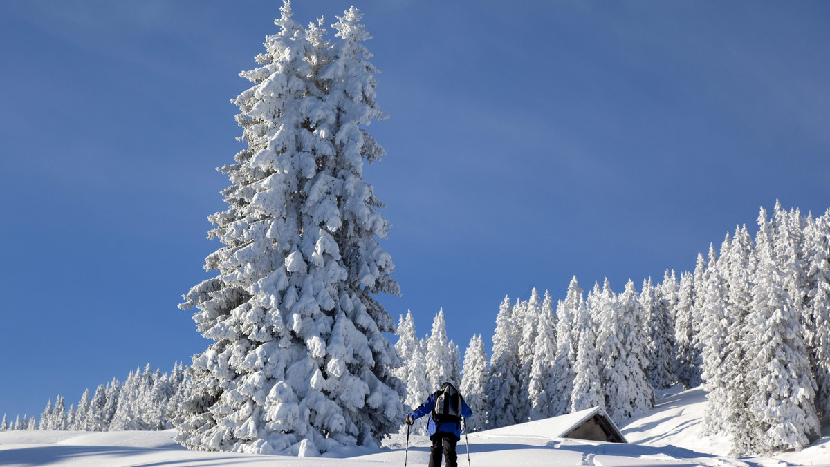 Dzisiaj i jutro nad Polską będą przechodziły silne śnieżyce, zawieje i zamiecie śnieżne. Spadnie od 10 cm śniegu na północy i południowym-wschodzie kraju, do 20 cm na południowym zachodzie, w Sudetach nawet do 45 cm.