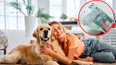 gminy wycofują się z opłat od posiadania psa. czy warto je utrzymywać?