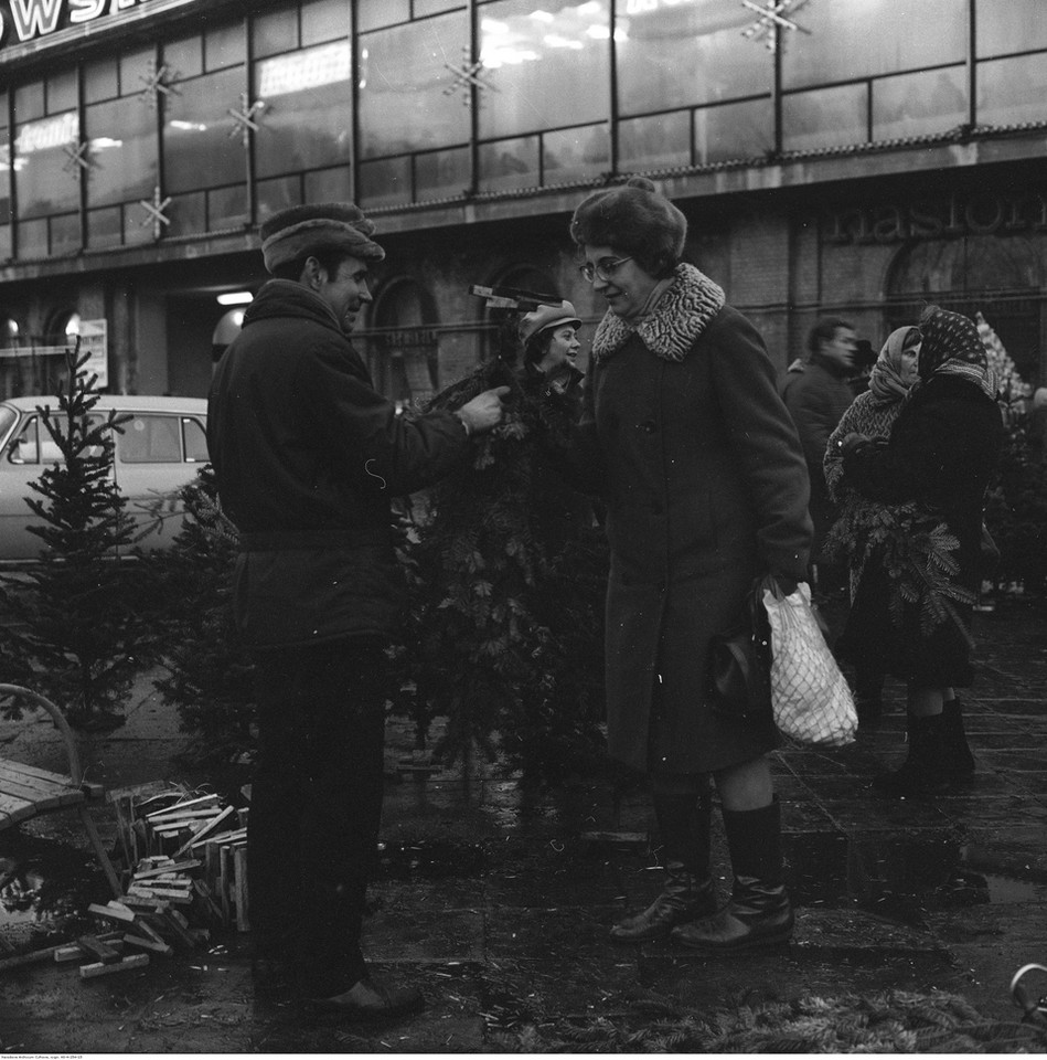 Handel choinkami przy ul. Marchlewskiego przed Halą Mirowską w Warszawie (1971 r.)