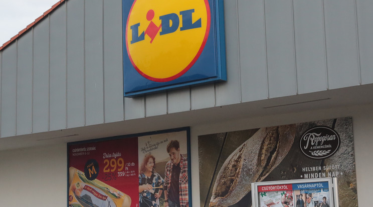 A Lidl-nél is talált a fogyasztóvédelem néhány szabálytalanságot/Fotó:Ringier-Archív