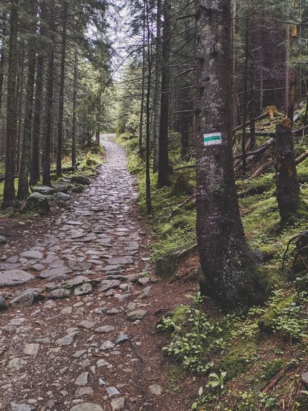 Ten odcinek powoduje znaczne przyspieszenie tętna