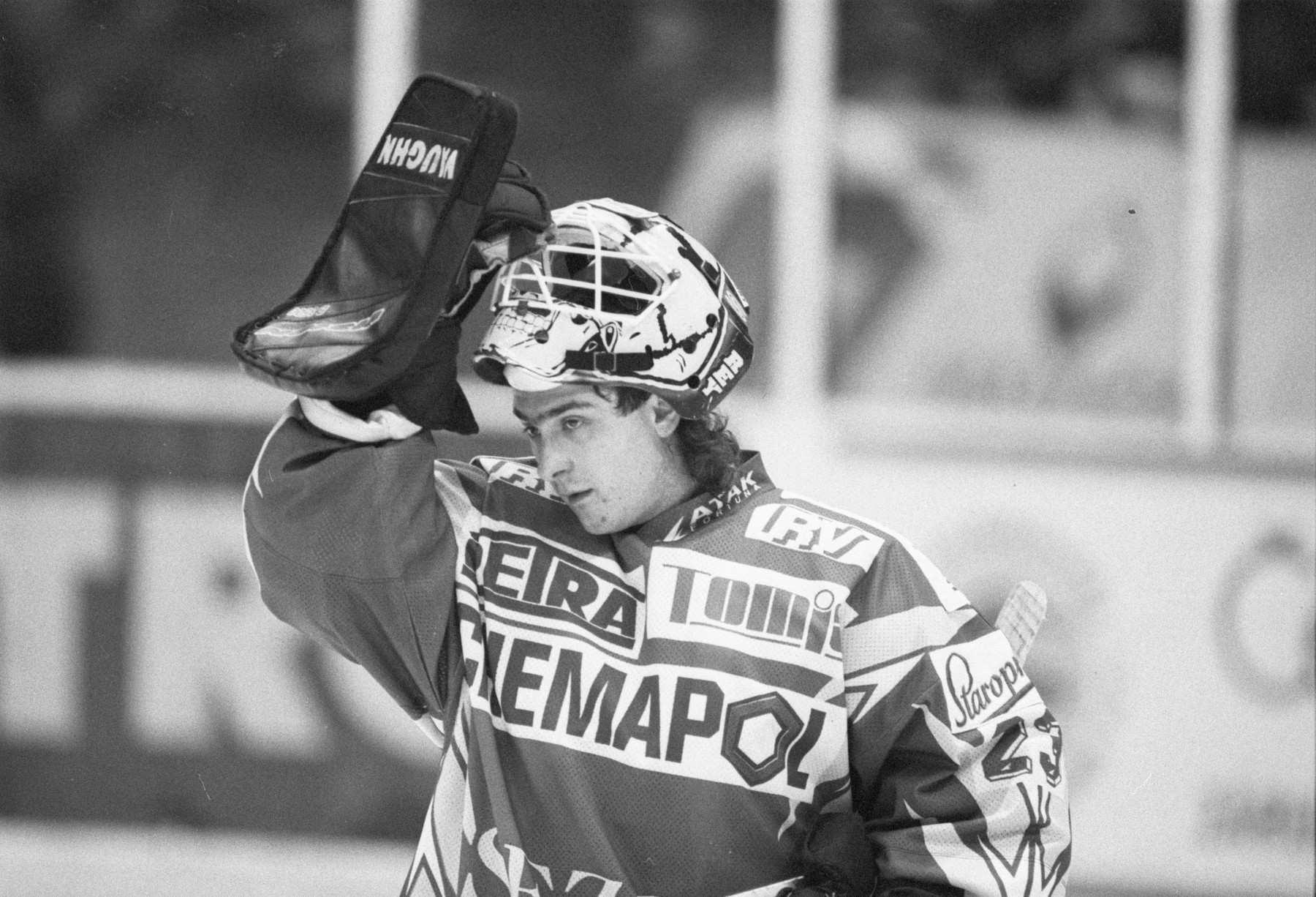 Vo veku 52 rokov zomrel bývalý český hokejový brankár Roman Čechmánek.