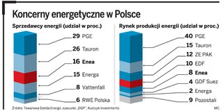 Minister sprawdza pieniądze na Eneę