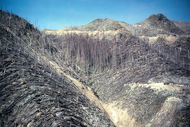 Galeria USA - Erupcja wulkanu Mount St. Helens, obrazek 16