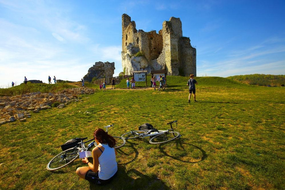 Ruiny zamku w Mirowie
