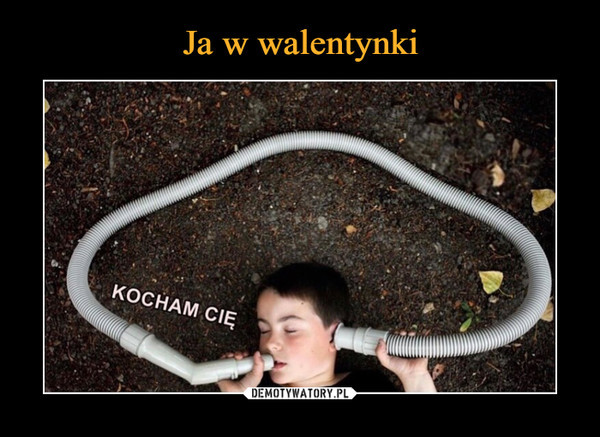 Najlepsze memy na walentynki