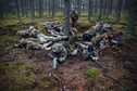 Participiants secure a position during a territorial defence training organised by paramilitary group SJS Strzelec (Shooters Association) in the forest near Minsk Mazowiecki