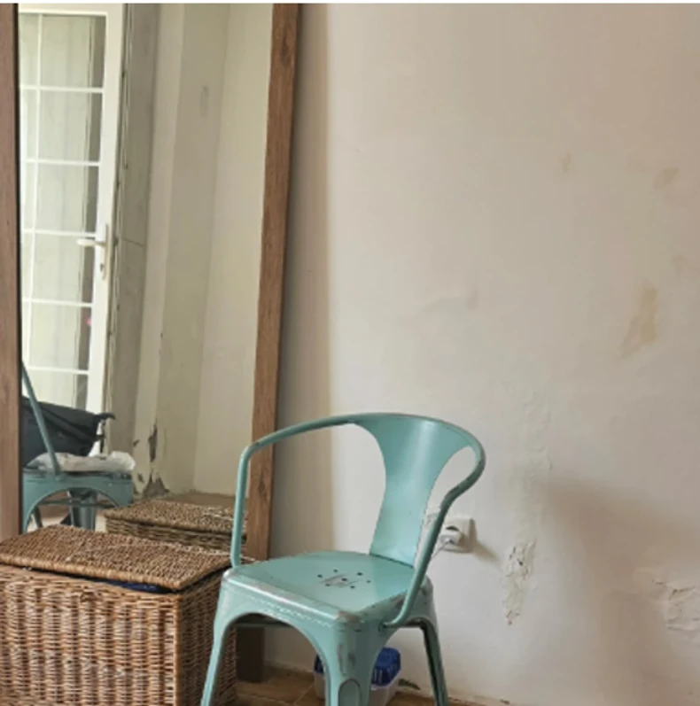 Mirjana Bobić Mojsilović kuća na selu