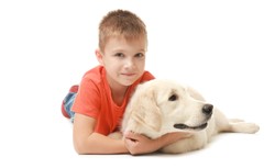 Dogoterapia w dziecięcych szpitalach – redukuje stres i cieszy pacjentów