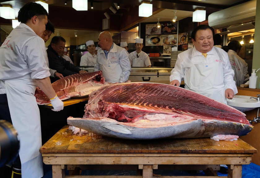 Zawrotna cena tuńczyka. Nie uwierzysz, że tyle za niego zapłacono