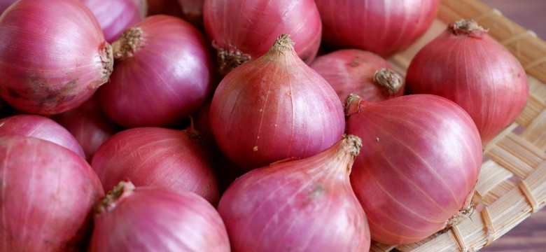Cebula – niepozorne warzywo o wielkiej mocy. Jak ją wybierać, kroić i dlaczego nie wolno podawać jej psom?