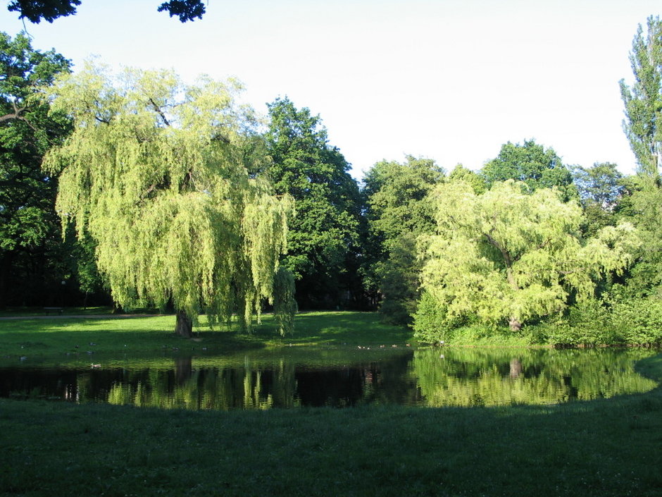 Park Źródliska