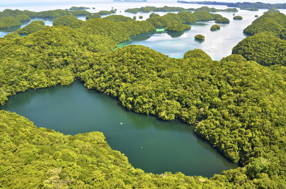 Palau - jezioro meduz