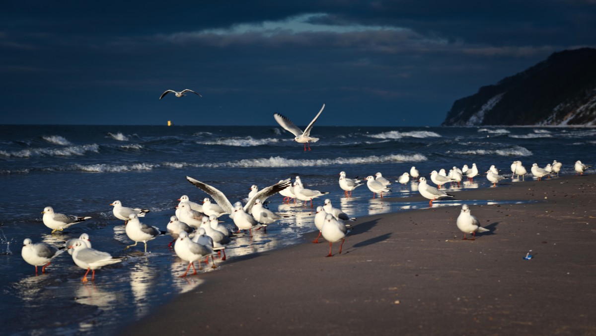 Coraz więcej sylwestrowych wyjazdów. Dwa kierunki dominują