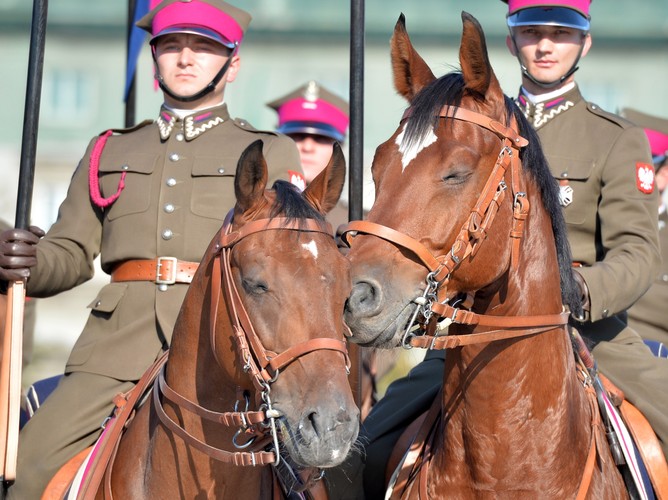 Święto Kawalerii Polskiej w Warszawie
