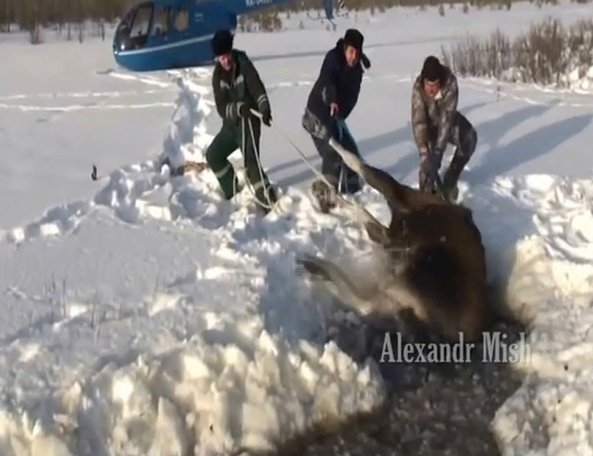 Spasavanje i po snegu