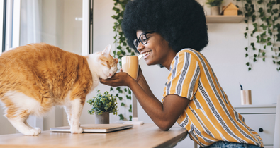 Mi a titka, hogy sokáig éljen a macskád? Állatorvos válaszol