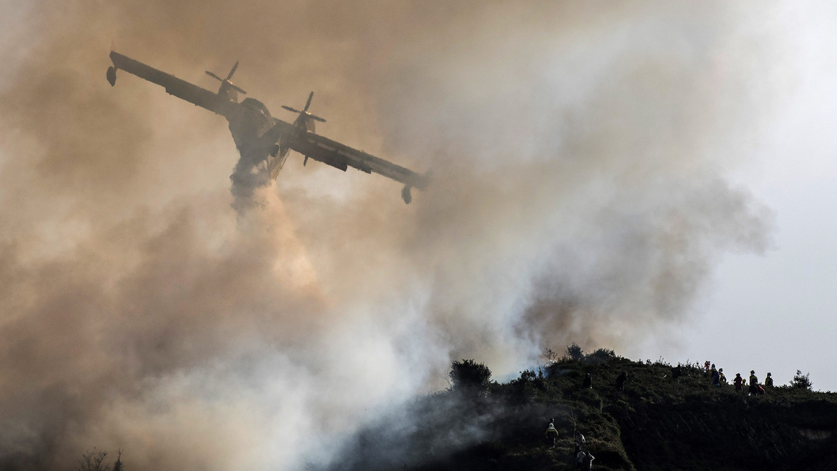 Hiszpańscy strażacy walczą ze 120 pożarami lasów na północy kraju, w regionach autonomicznych Kantabria i Asturia, gdzie zima jeszcze nie nadeszła i dawno nie padały deszcze.