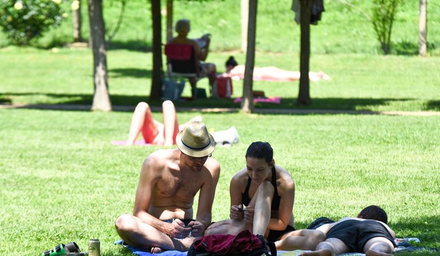 Novi Sad172 Strand lepo vreme tropski dan leto na plazi foto Nenad Mihajlovic