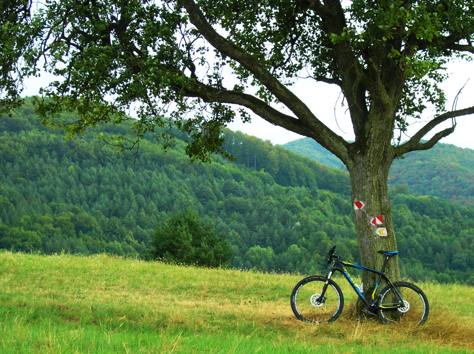 Szlaki rowerowe "Rowerem do tajchów"