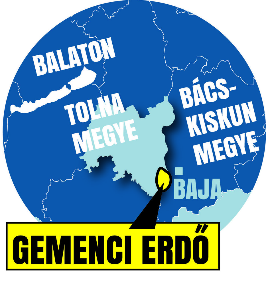 A gemenci erdő 