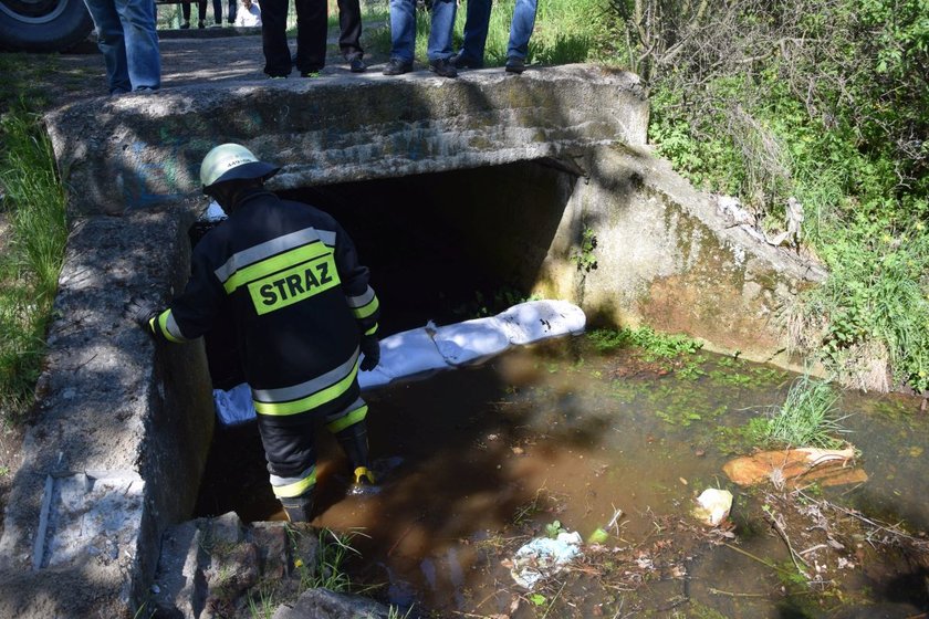 Krapkowice. Strażacy wypompowują wodę ze strumienia