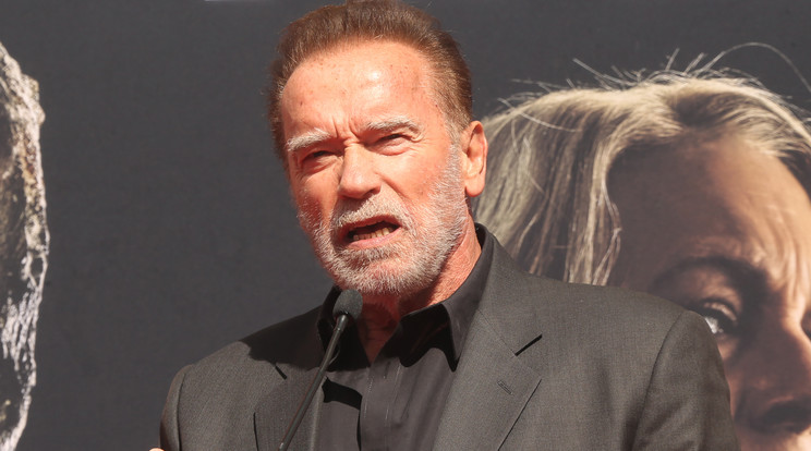 Arnold Schwarzenegger / Fotó: Northfoto
