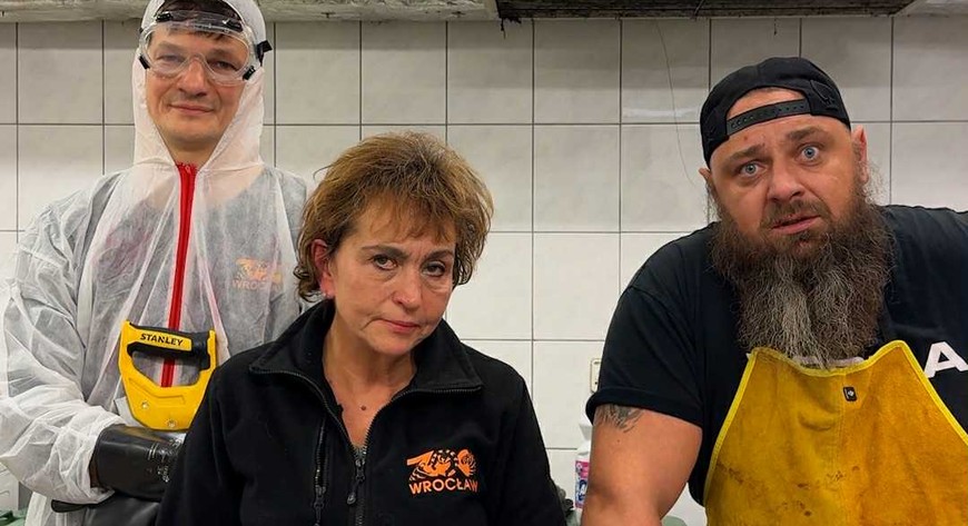 ZOO Gang fajerwerki ilustracyjne