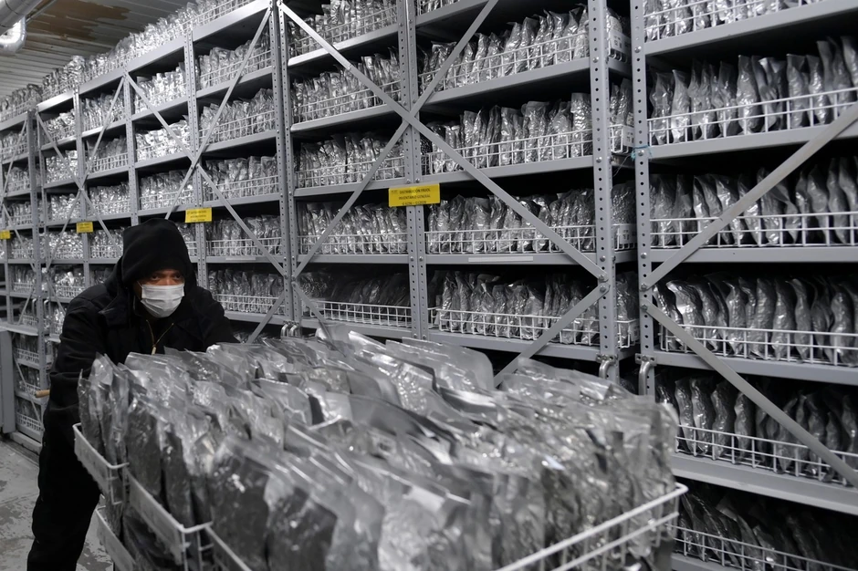 Unutrašnjost trezora "Sudnjeg dana"