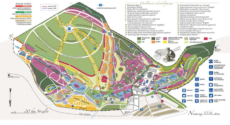 Mapa Arboretum w Wojsławicach