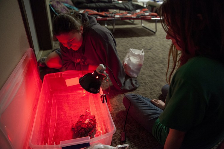 Mieszkani ewakuowani