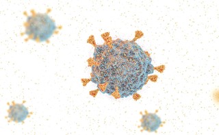 W nadchodzących miesiącach może dojść do najbardziej śmiercionośnej fali Covid-19 [BADANIE]