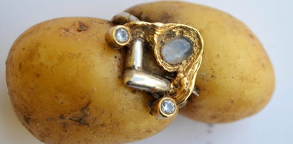 Niemiec odnalazł pierścionek w ziemniaku