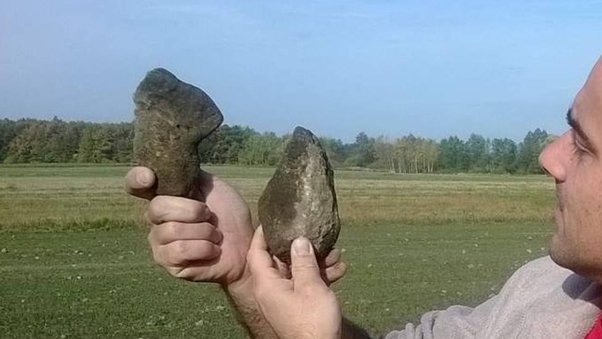 Rolnik z Witkowa Stanisław Marciniak przyniósł do szprotawskiego muzeum "dziwne" kamienie, które znalazł na swoim polu. Prawdopodobnie są to skamieliny. Wszystko wskazuje na to, że mogą to być szczątki mamuta lub przodka bawoła.