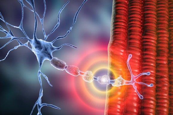 Toplo i vlažno vreme pogoršavaju simptome multiple skleroze: Zbog Uthofovog fenomena i vruć tuš pokreće neurološke tegobe