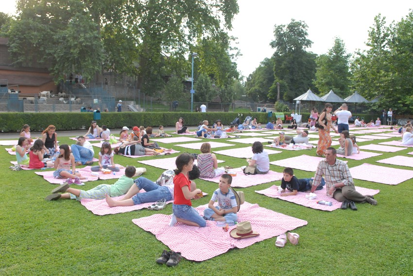 Piknik je planiran za svaku subotu i nedelju