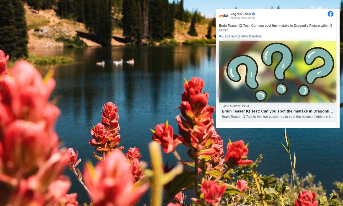 Znajdź błąd na obrazku. Masz tylko pięć sekund. To zagadka dla najlepszych!