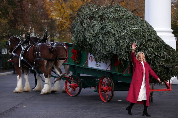Choinki już są w Białym Domu. Jill Biden wkrótce przygotuje świąteczne dekoracje