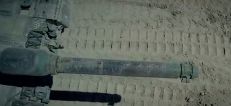 Ministerstwo obrony ogłasza: W Polsce pojawił się nowy drapieżnik! ZOBACZ WIDEO