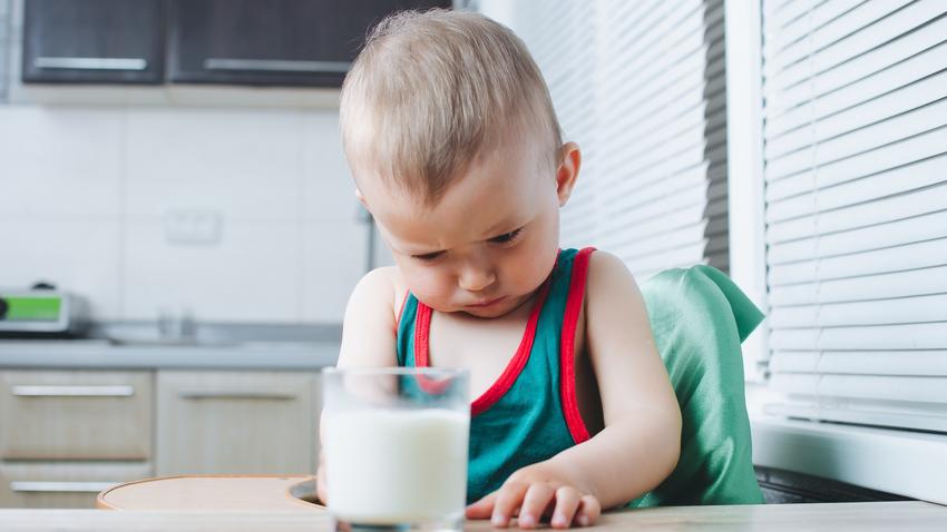 Tejfehérje allergia tünet gyerek kezelés