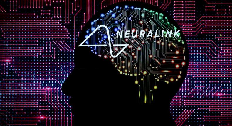 Zilis is a director at Neuralink.Photo illustration by Jonathan Raa/NurPhoto via Getty Images