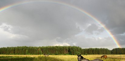 Tu w Polsce możesz znaleźć skarby