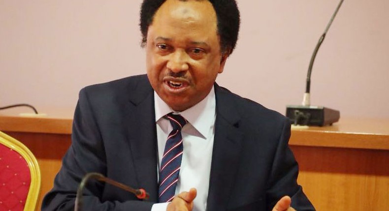 Shehu Sani says army has run out of ideas and strategies to win the war against Boko Haram insurgents. (Guardian)