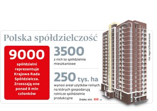 Polska spółdzielczość