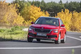 Skoda Kamiq - lepsza od Seata Arony i Volkswagena T-Crossa? - TEST