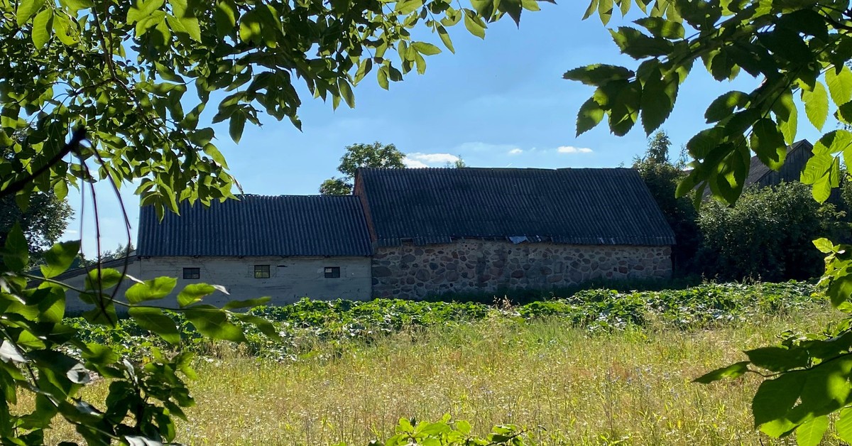 Zgłoszenie azbestu do gminy 2026 - wniosek obowiązkowy do 31 stycznia [PDF]. Brak deklaracji grozi karą do 20 tys. zł