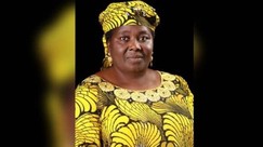 Buhari appoints Adamu Tutuwa as new DG FIIRO